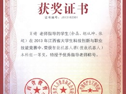 2013年江西省大学生科技创新与职业技能大赛一等奖1                        